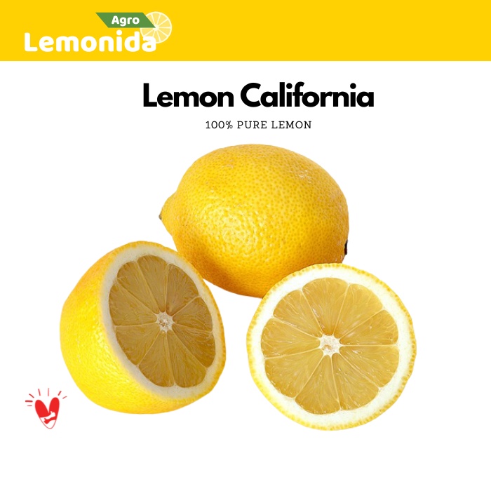 

Jeruk Lemon California Grade A