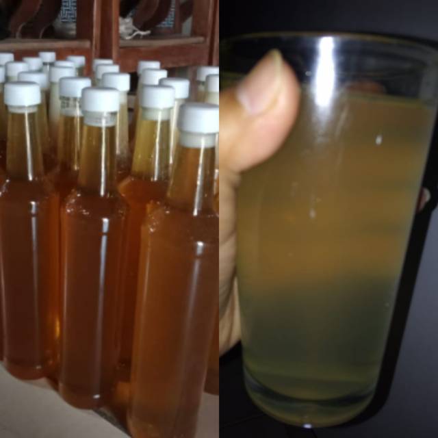 

madu lebah ternak asli