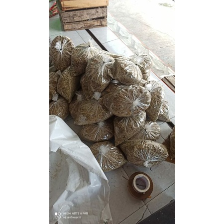 rumput alfafa Hay Pakan Kelinci, marmut