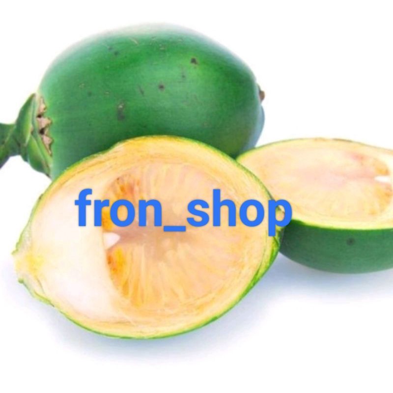 

Buah Pinang Muda Segar | Pinang Muda Asli 1Kg