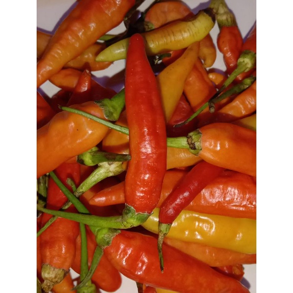 

Sayur,Bawang,Dan perbumbu Dapur