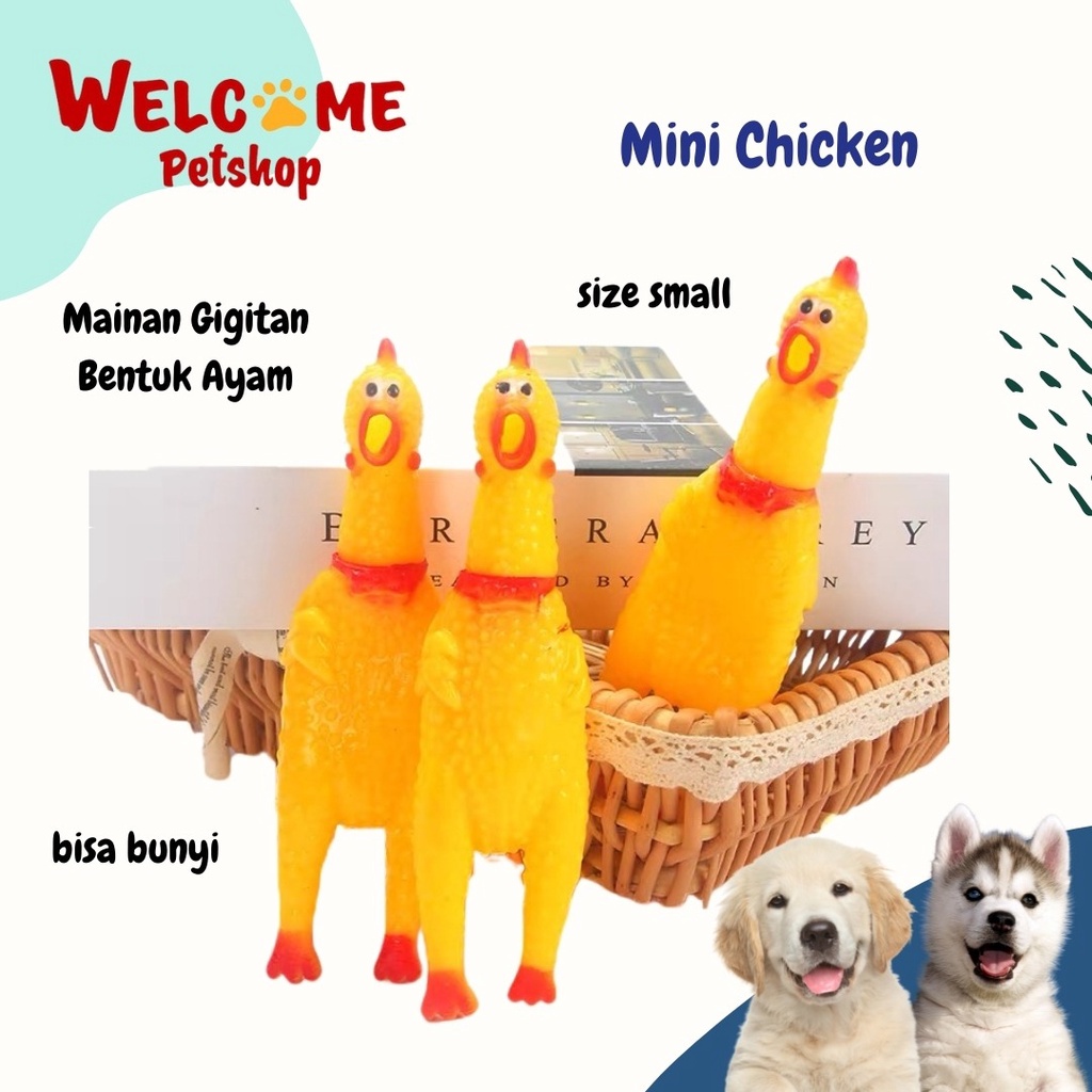 Mini Chicken / Mainan Gigitan Anjing / Mainan Anjing / Dog Toy