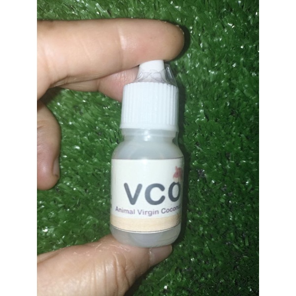 VCO Virgin Coconut Oil minyak kelapa probiotik untuk hamster