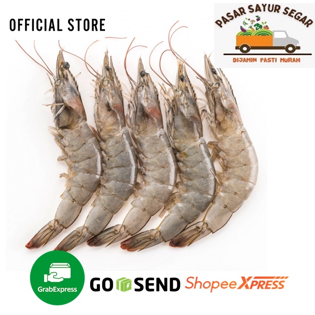 

Udang Pancet Udang Segar Ukuran Sedang 250gr