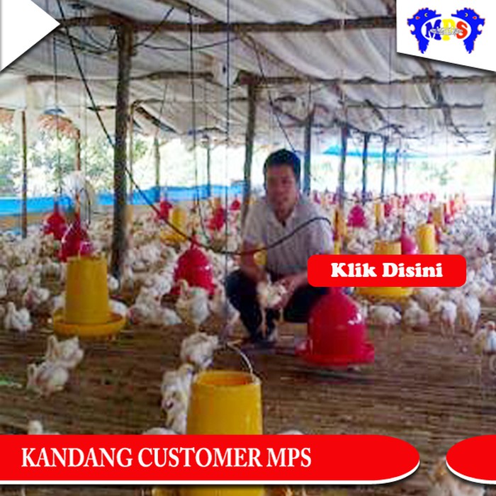 5500 Gambar Peralatan Kandang Unggas Gratis Terbaru