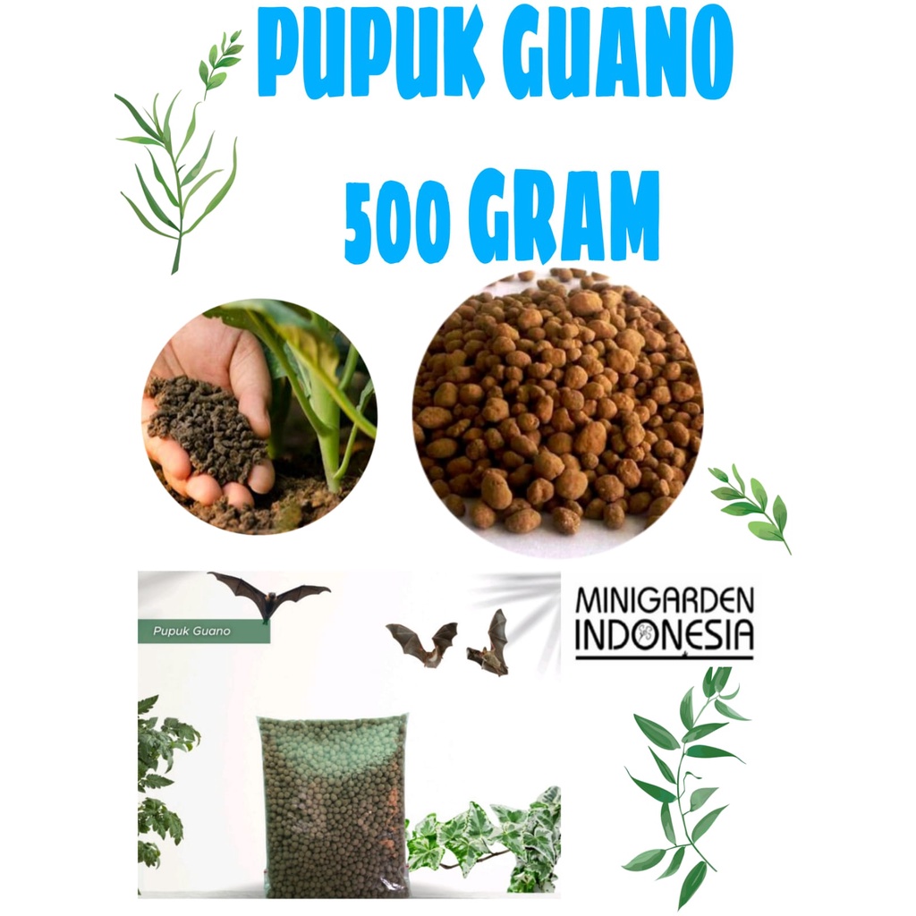 PUPUK GUANO 500 GRAM PUPUK ORGANIK PHOSPAT KELELAWAR PENYUBUR TANAH