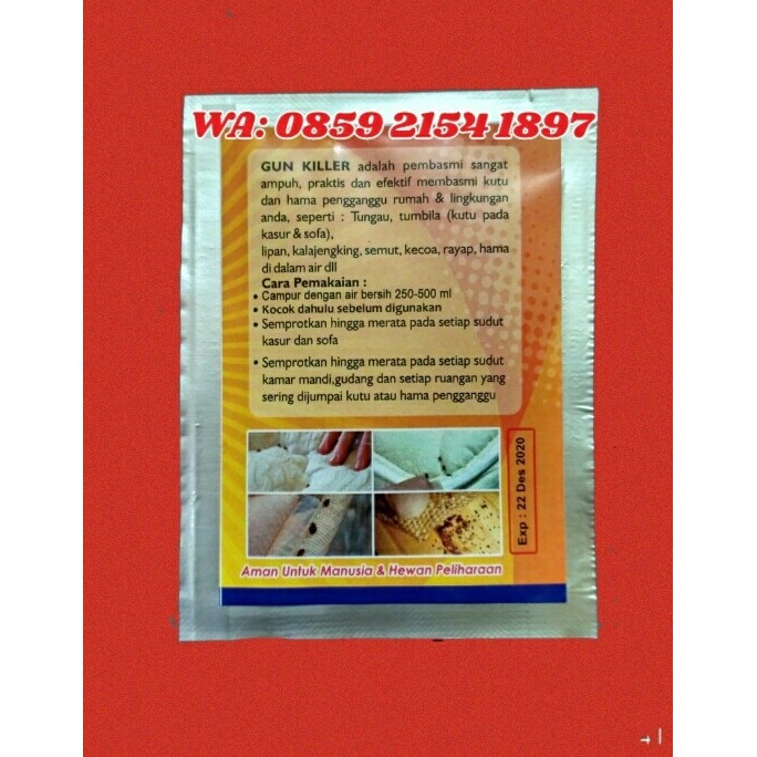 9900 Koleksi Gambar Hewan Tumbila HD