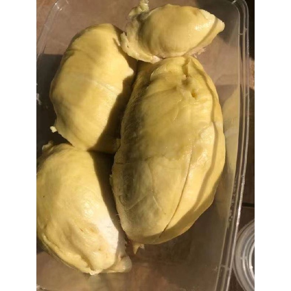 

Duren Monthong 147 Kcal [1 Box] - Palu Parigi