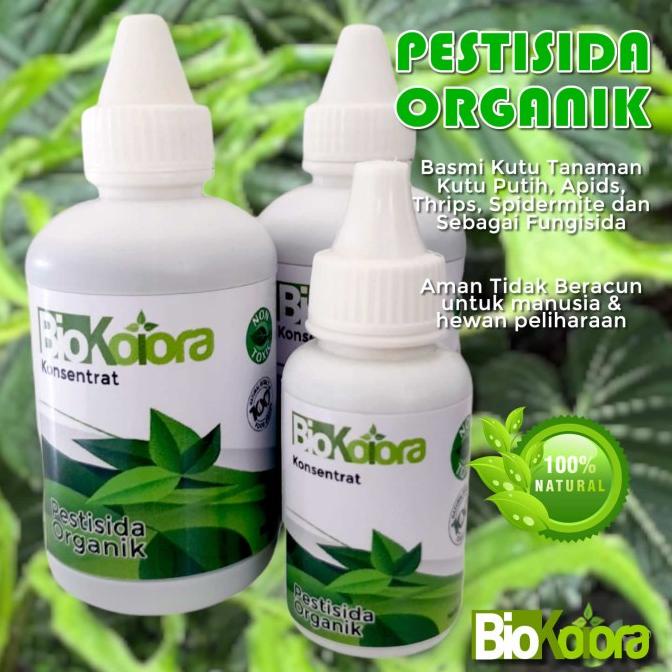 Pestisida Organik Pembasmi Semut Pestisida Nabati Nimba Tanaman Hias