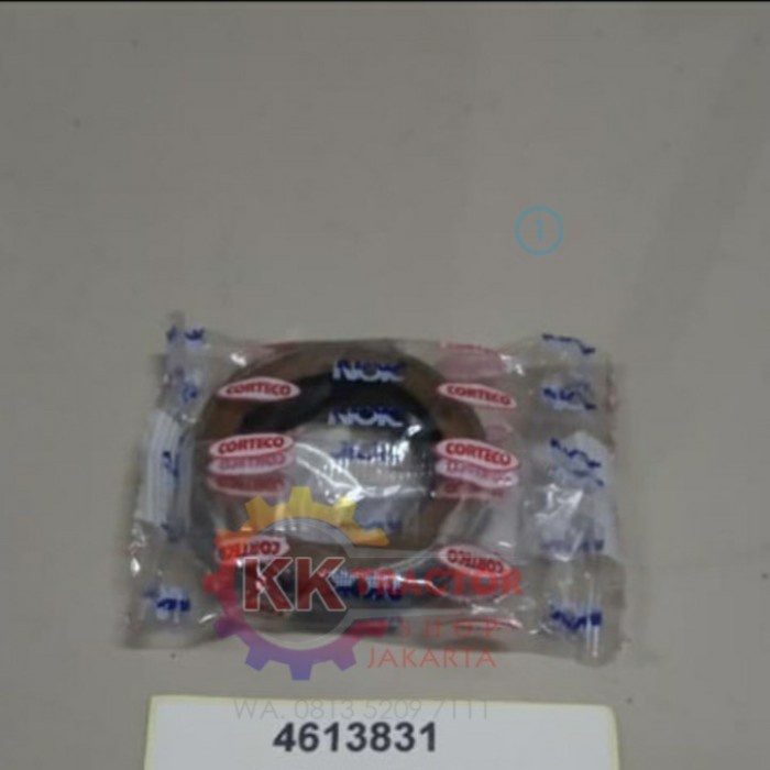 OIL SEAL 4613831 NOK