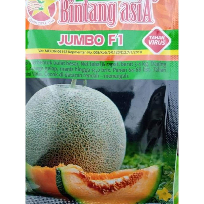 Melon Hibrida Jumbo F1 melon Daging Orange Original Pabrik