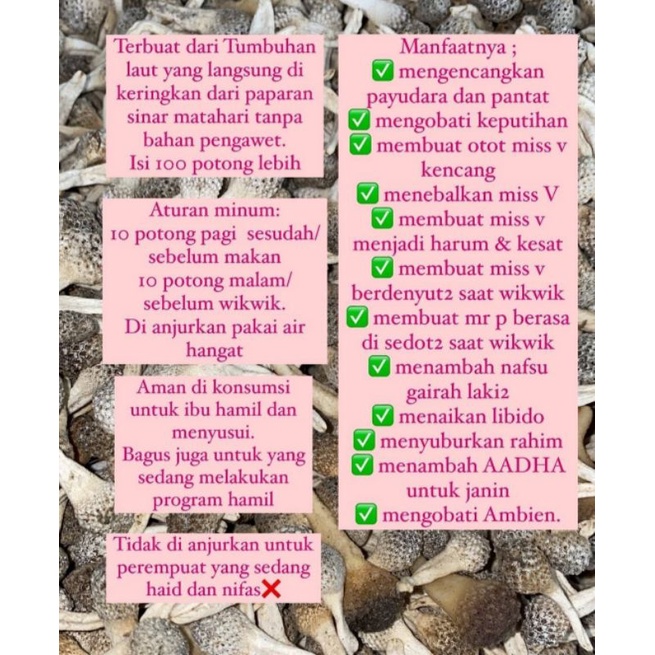 ‼️READY‼️JAMU MPOT PUTIH TANPA DIPOTONG ASLI MADURA ISI 40 BUTIR /PERAWATAN MISS V /JAMU MPOT AYAM PUTIH  / JAMU EMPOT HERBAL ASLI MADURA