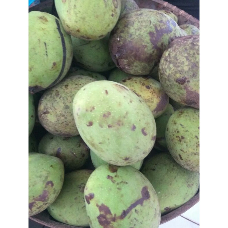 Buah Pakel 1000 gram