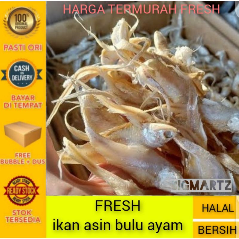 

Ikan Asin Bulu Ayam fresh 500gr / bulu ayam super