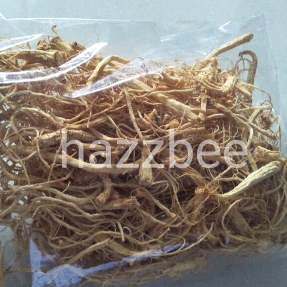Hazzbee #Akar Ginseng Tanaman Herbal Untuk Kesehatan Meningkatkan Kekebalan Tubuh dan Stamina
