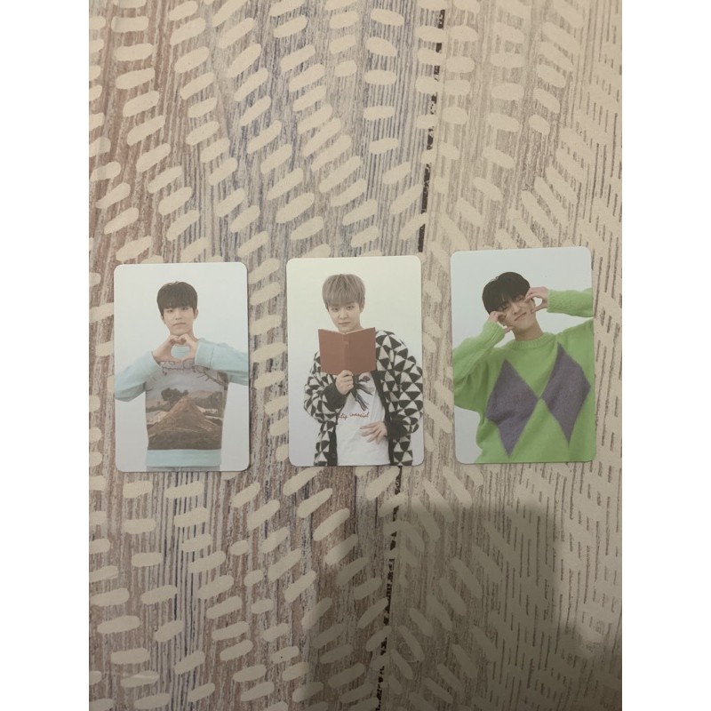 PC TREASURE FULL ALBUM AR JEONGWOO JIHOON HARUTO (pc haruto jihoon jeongwoo)
