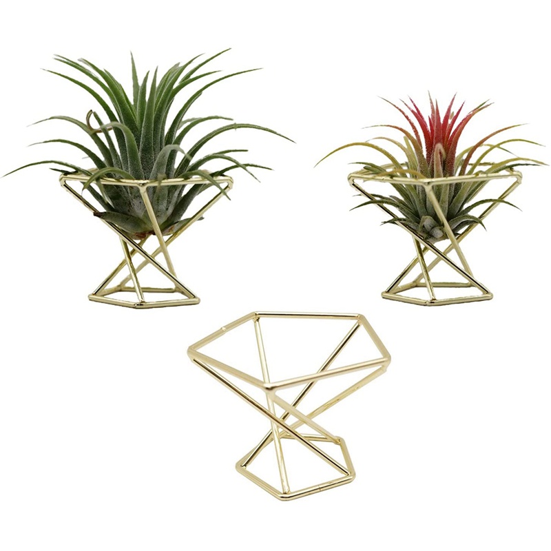 3 Pcs Geometric Air Plant Holder Airplants Rack Metal Plants Stand Planter Shees Himmeli Decor Tillandsia Containers