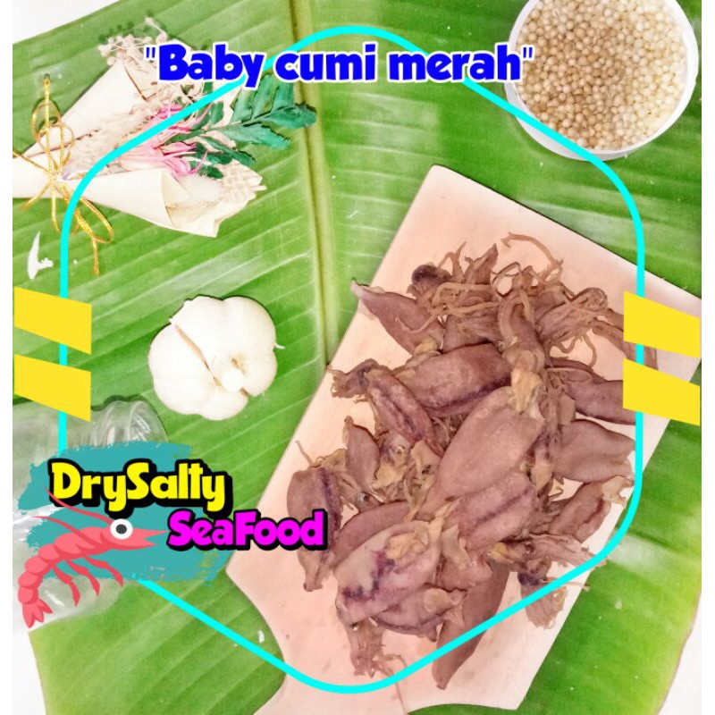 

baby cumi merah