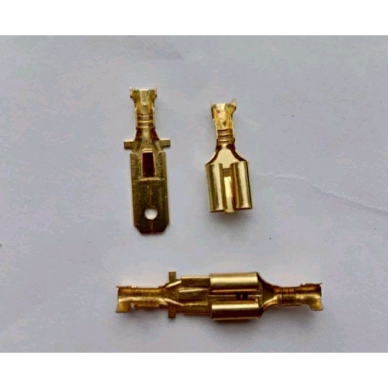 Skun Gepeng/ Skun Terminal