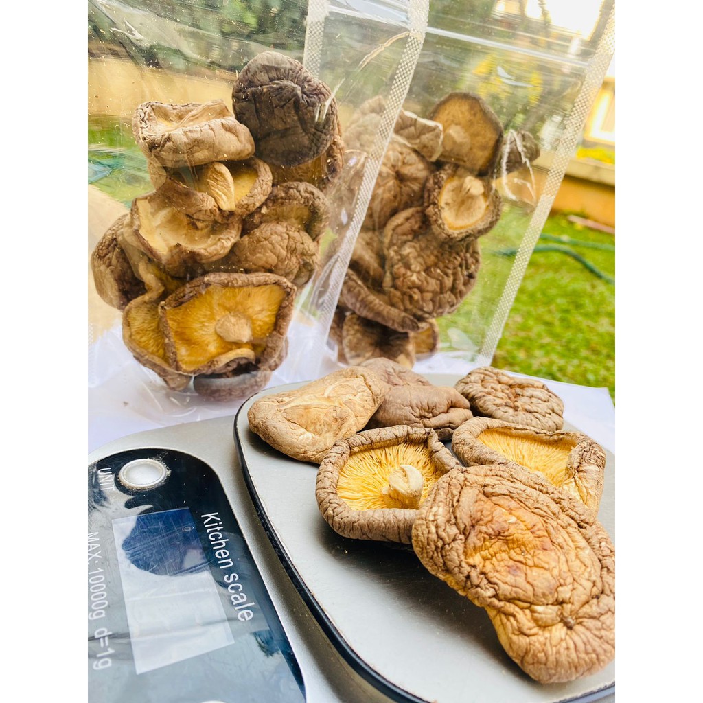 Jual Jamur Shitake / Jamur Kering / Shitake Mushroom 50gr Shopee Indonesia