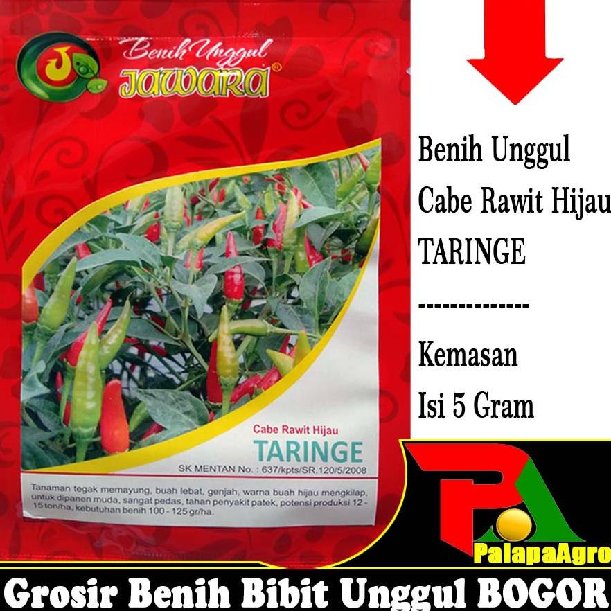 Isi 1250Biji - Bibit Cabe Rawit Hijau Taringe 5Gram - Benih Cabe Rawit Super