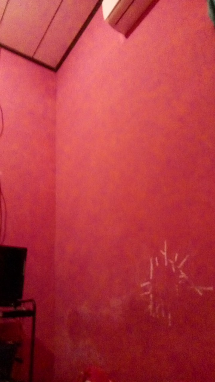 Sapu Lantai Rayung Original | Sapu Cemara Murah | Sapu Awet | Sapu Kipas | Sapu Gelagah | Sapu Kipas