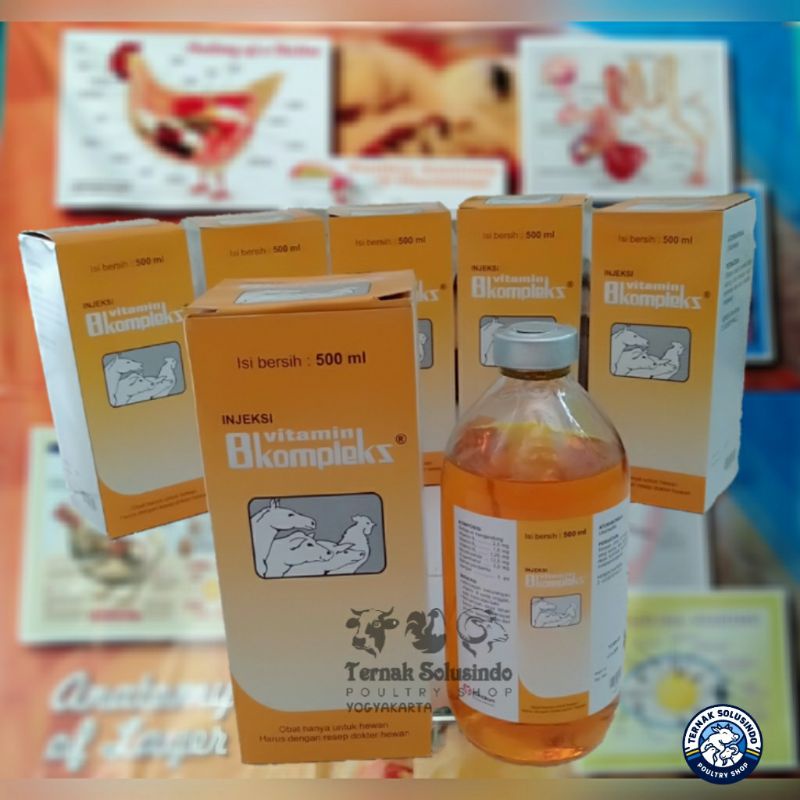 Vitamin Injeksi B Kompleks 500 mL