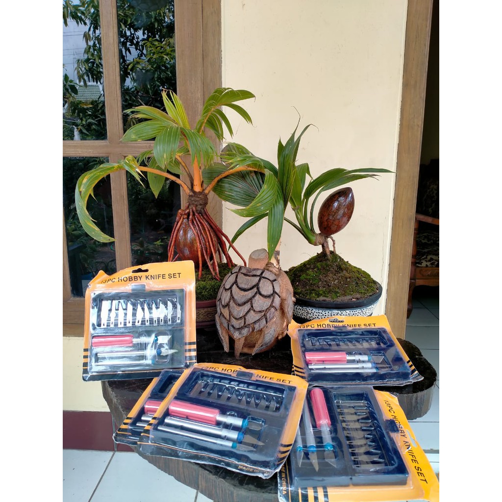 Pisau Sayat Bonsai Kelapa 1 Set Ori