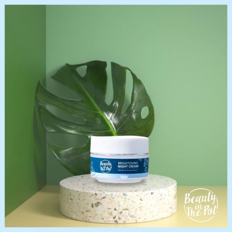 BEAUTY IN THE POT NIGHT CREAM