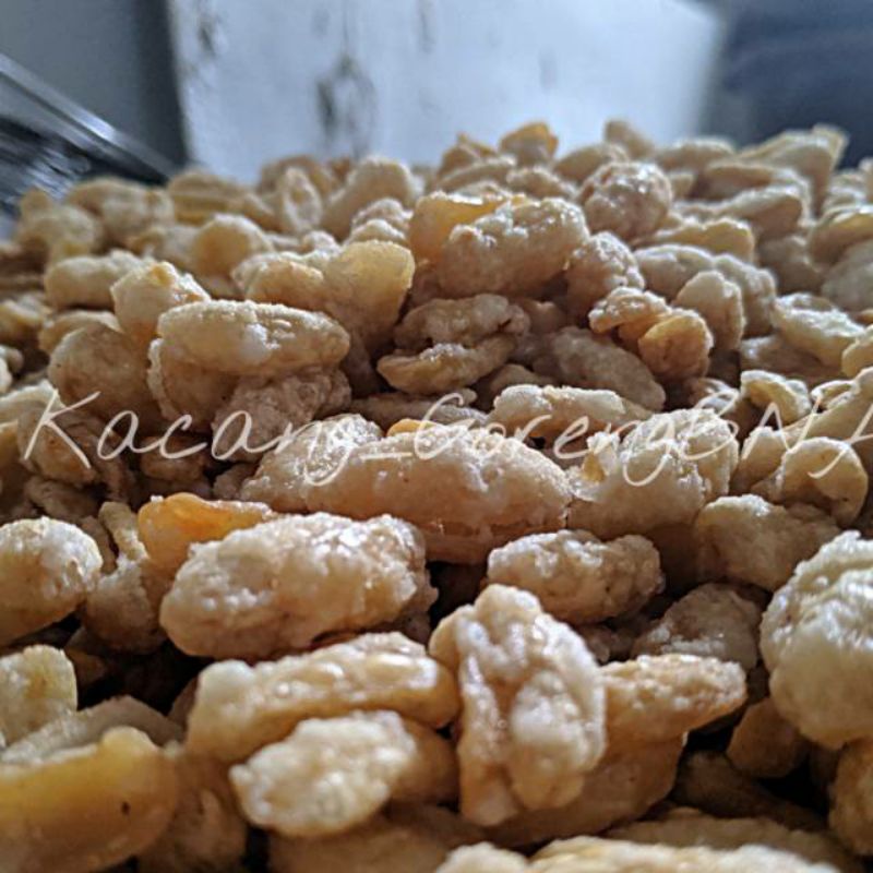 

Kacang Merah Goreng/Kacang Nibon Aceh ASLI Pidie