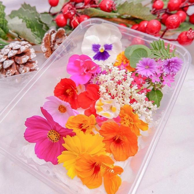 

Produk Unggulan] MIX EDIBLE FLOWER