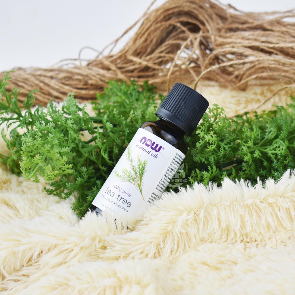 NOW® - Tea Tree Essential Oil - 30 ml