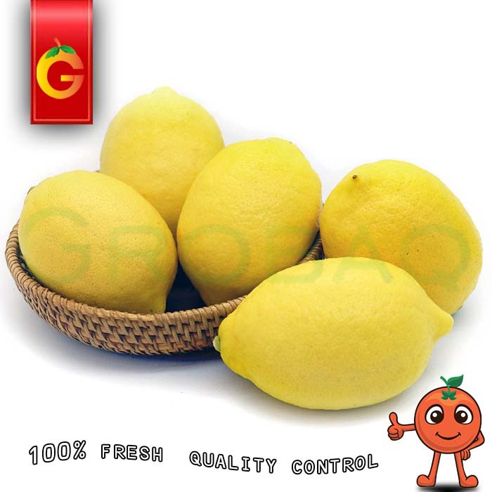 

LEMON IMPORT FRESH 1 KG