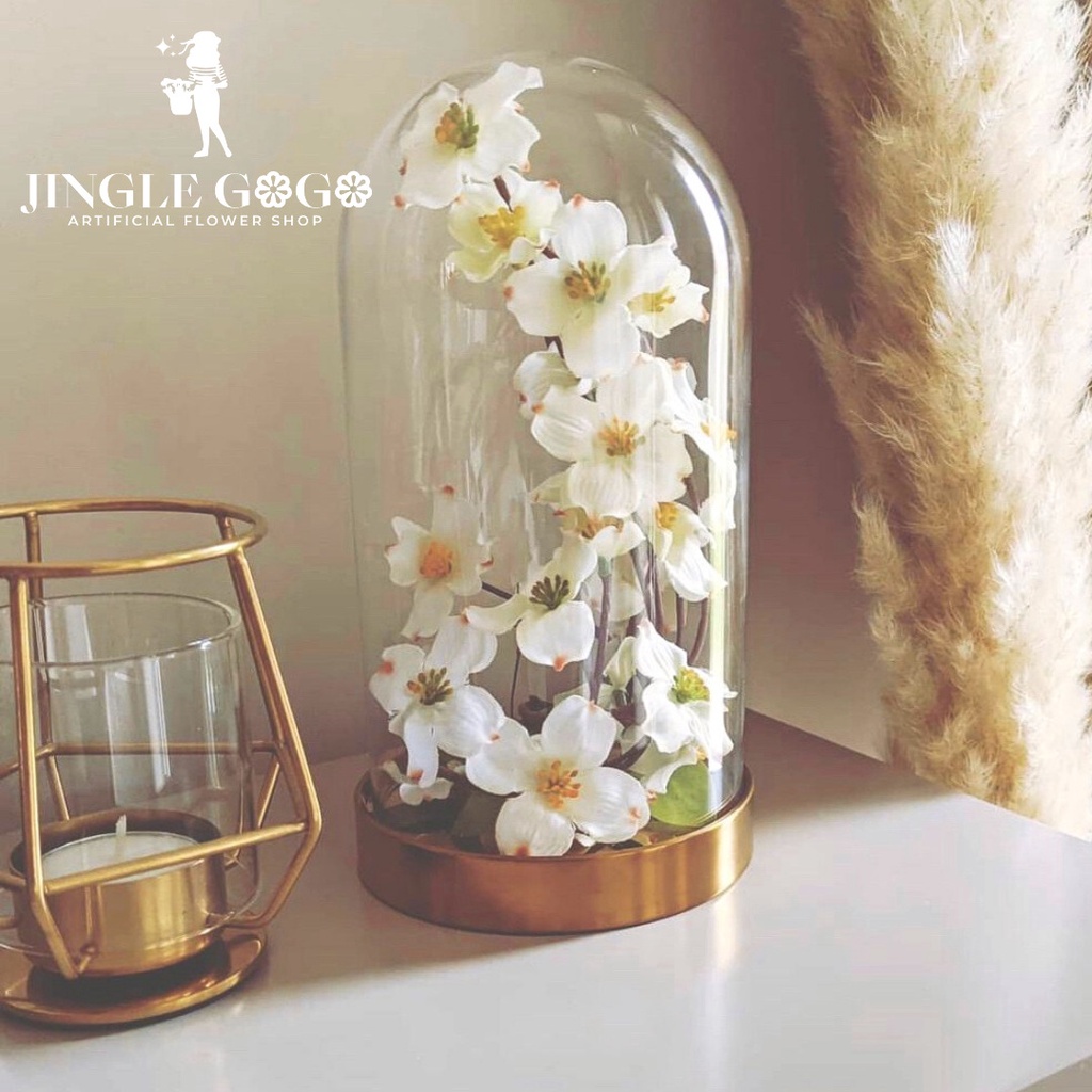 Glass Dome Gold Vas Kaca Bunga Kering /Dried Flower / Preserved Flower - Tabung Kaca Kubah Emas untu