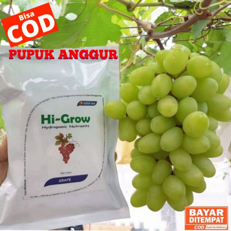 Pupuk Anggur Hi-Grow Nutrisi AB Mix Hidroponik Tanaman Anggur, Pupuk anggur