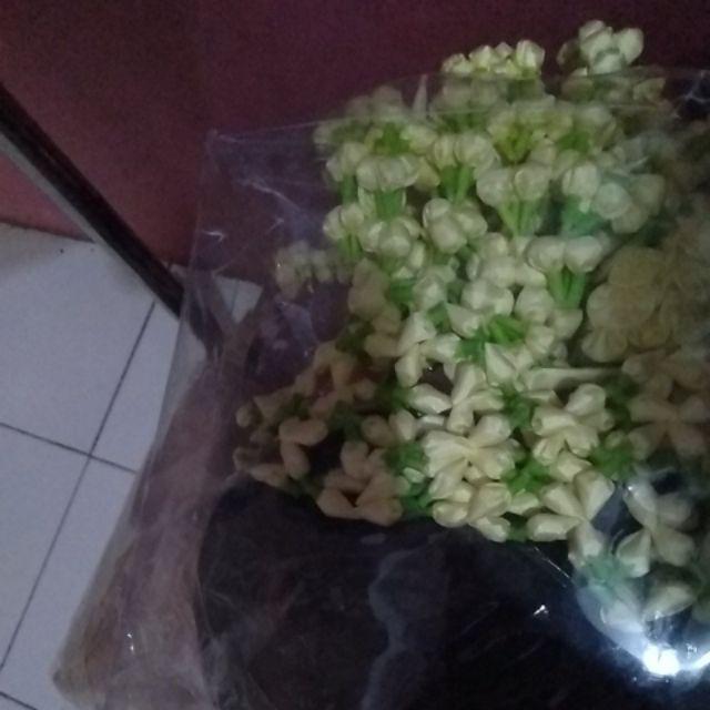 Ml-69 Melati Sunda Jagung Anggrek
