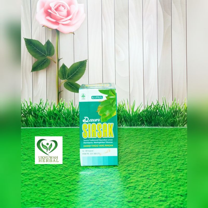 

Kapsul Daun Sirsak 60kpsl