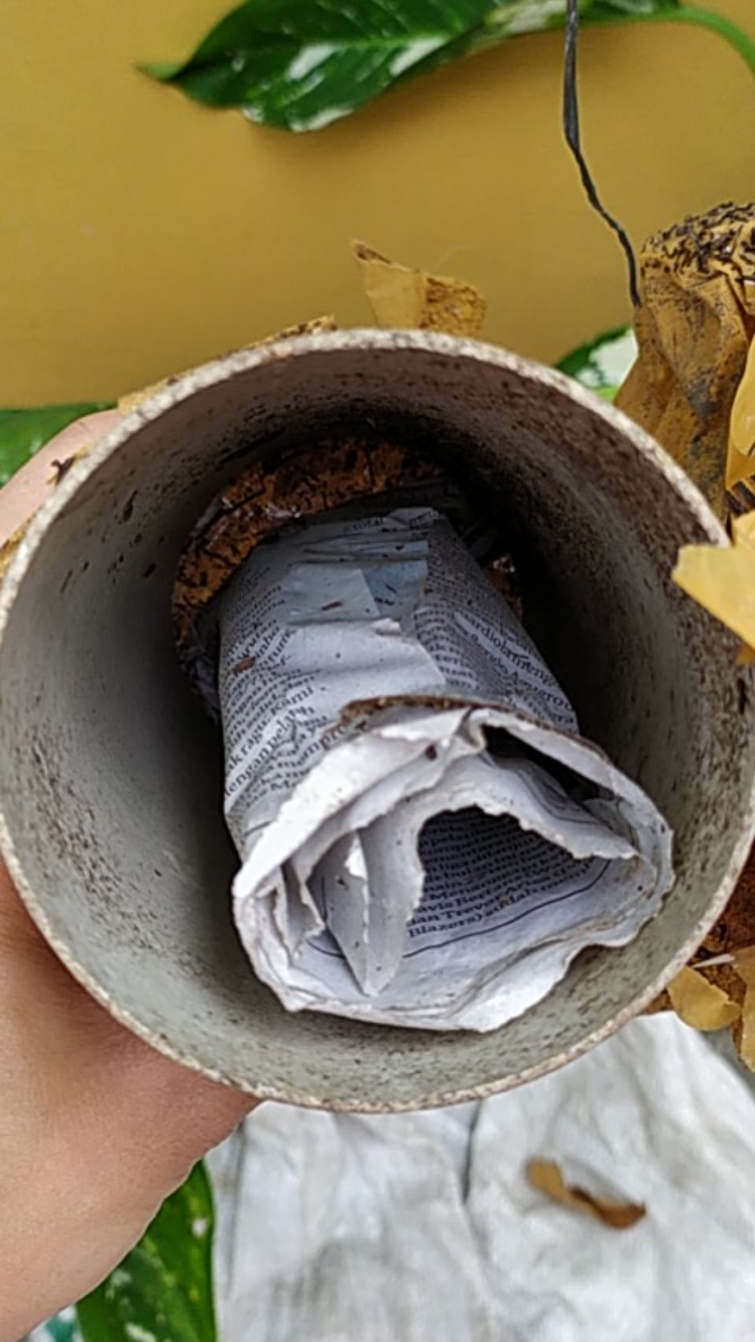 Tambahan Packing Paralon