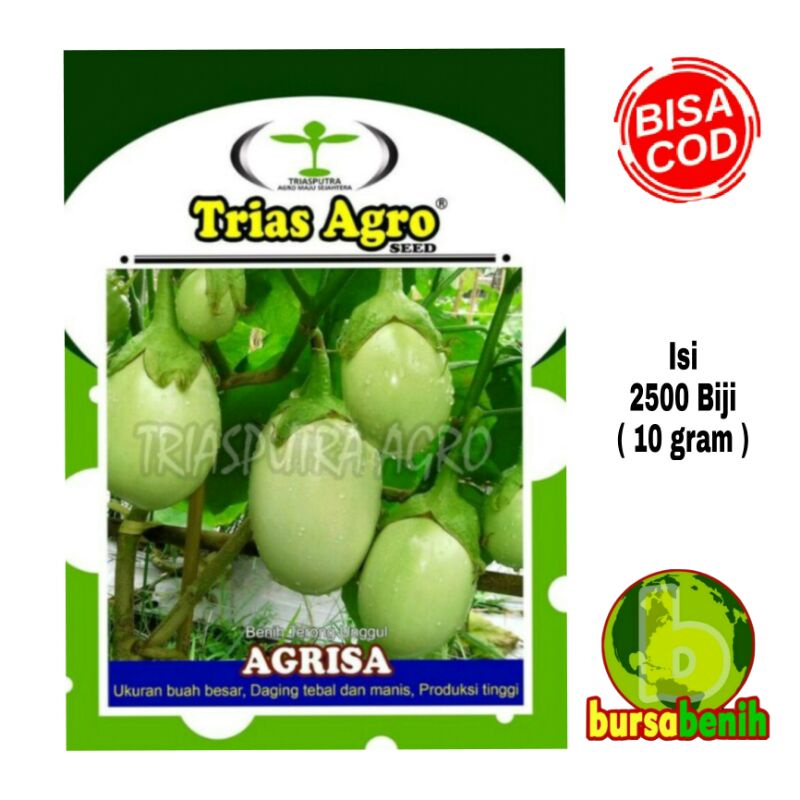 Isi 2500 Benih Terong Hijau Pondoh AGRISA - Bibit Terong Hijau Unggul isi 10 gram - Benih Terong Pon