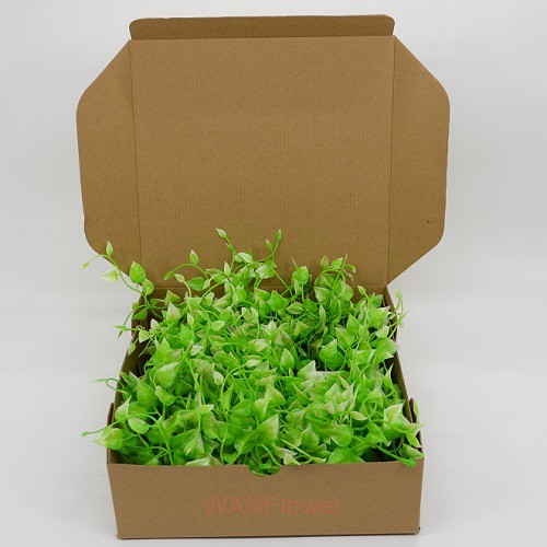 WANFLOWER Rumput 25x25 * MILION GRASS