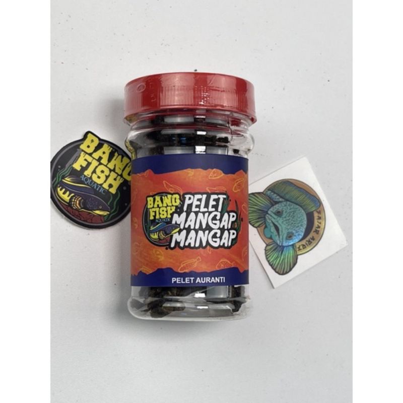 PELET AURANTI MANGAP MANGAP BANG FISH