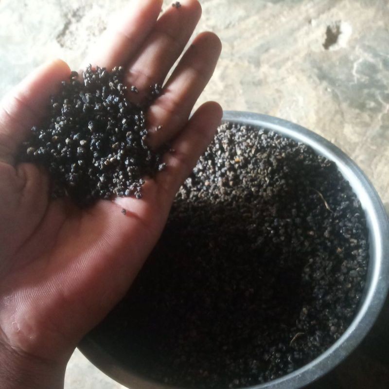 

Nasi TIWUL asli singkong 1kg