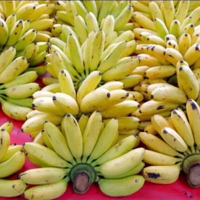 

pisang mas/pisang muli