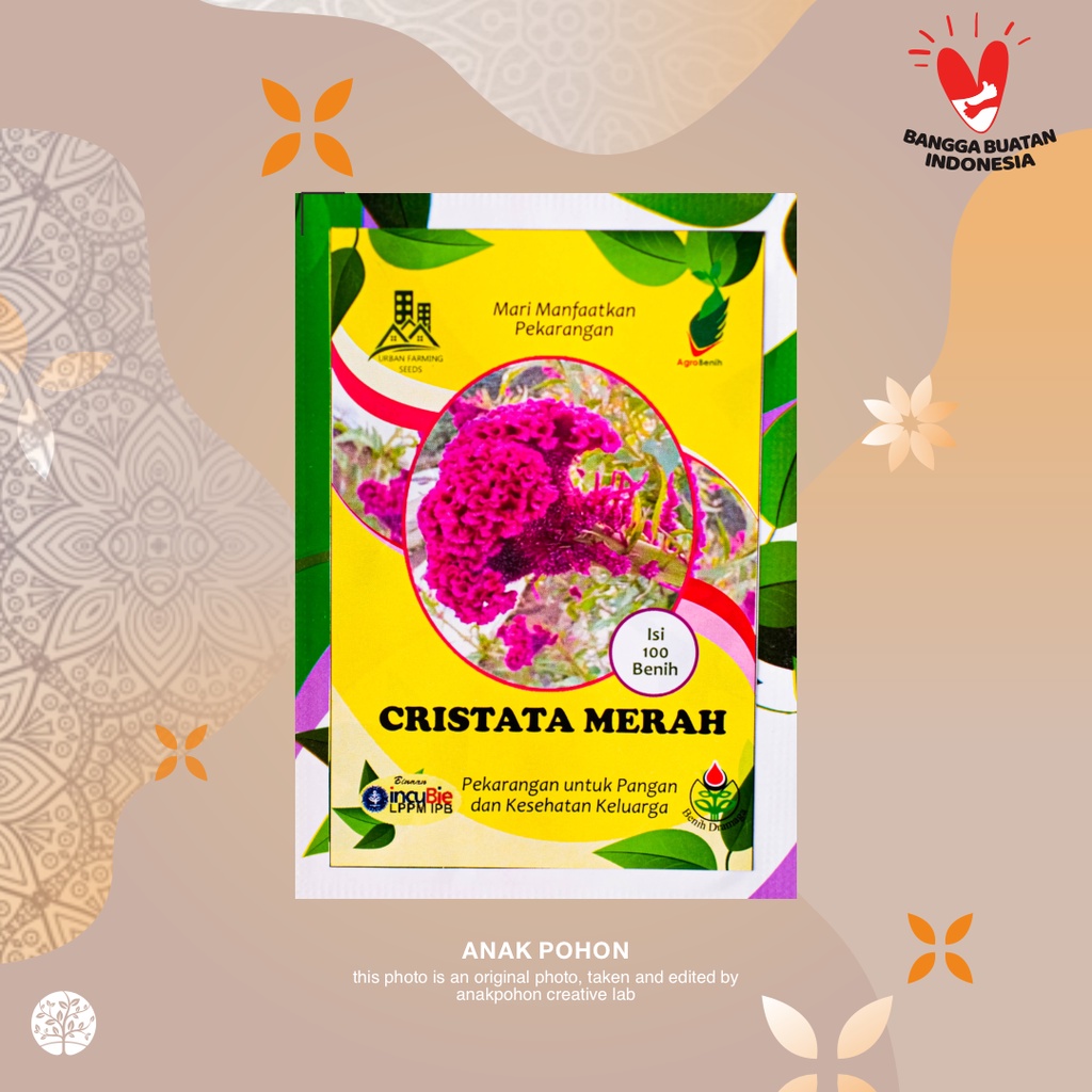 (1 PACK) Benih Bunga Celosia Cristata Merah - IPB Retail Pack - 100 SEEDS