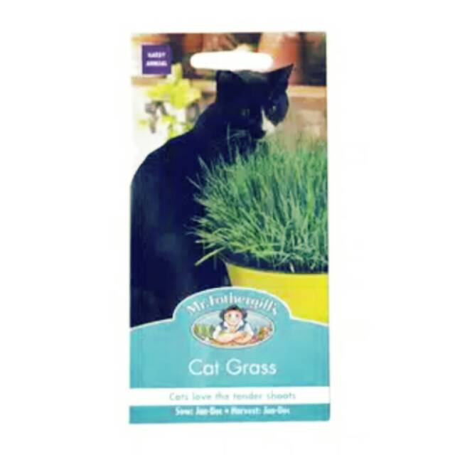 Cat grass oat mr fothergills