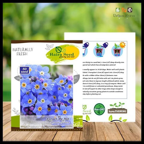 [Best Selling] 10 Seeds - Forget Me Not Haira Seed Biji Benih Bunga - SR0180