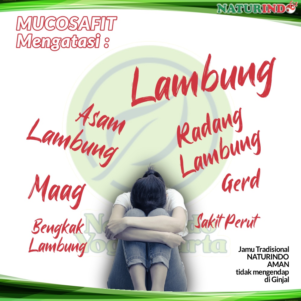 Obat Asam Lambung Maag Kronis Begah Sendawa Obat Herbal Sakit Maag Obat Asam Lambung Maag Kronis Obat Lambung Ampuh BPOM MUI Herbal MUCOSAFIT Naturindo Yogyakarta Jamu Tradisional Alami Terdaftar BPOM bisa COD Isi 40 Kapsul-1