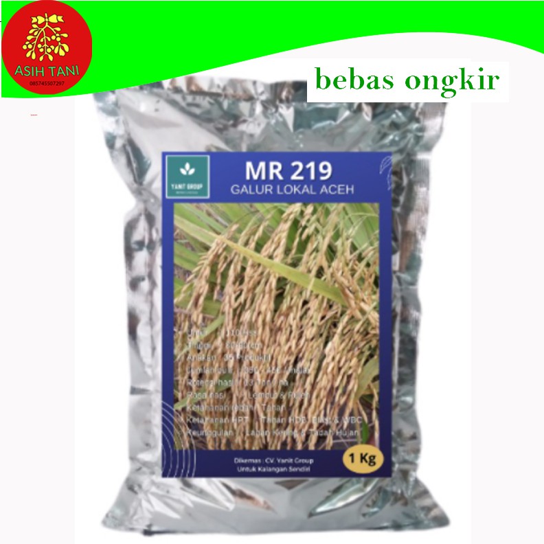 Benih Padi MR 219 1Kg