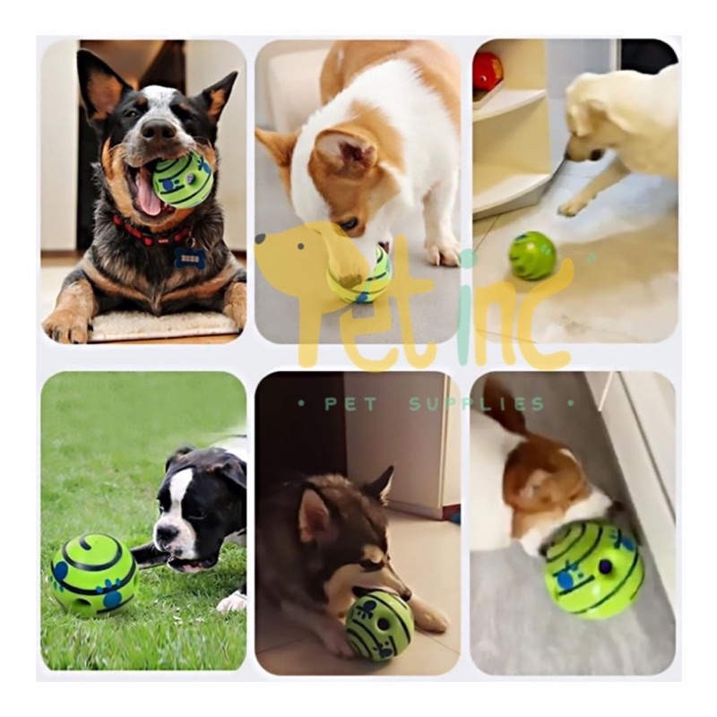 Whoopi interactive dog giggles ball