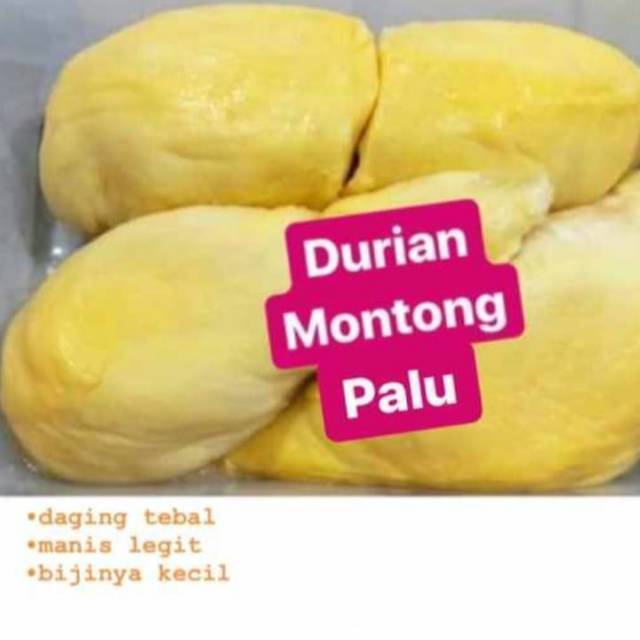 

Durian Montong Palu